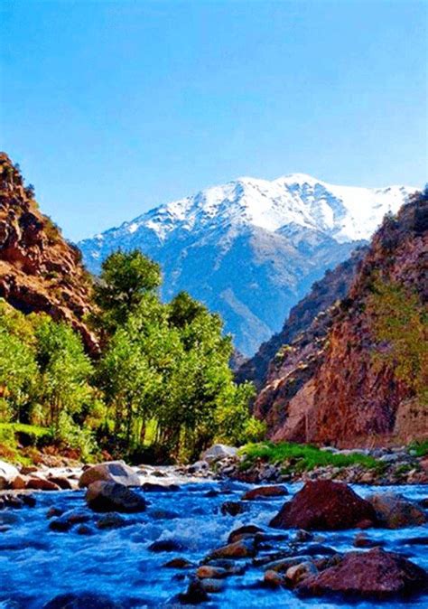 Best Ourika Valley Day Trip From Marrakech Moroccos Desert Tours