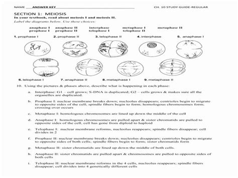 A Paper With Some Diagrams On It