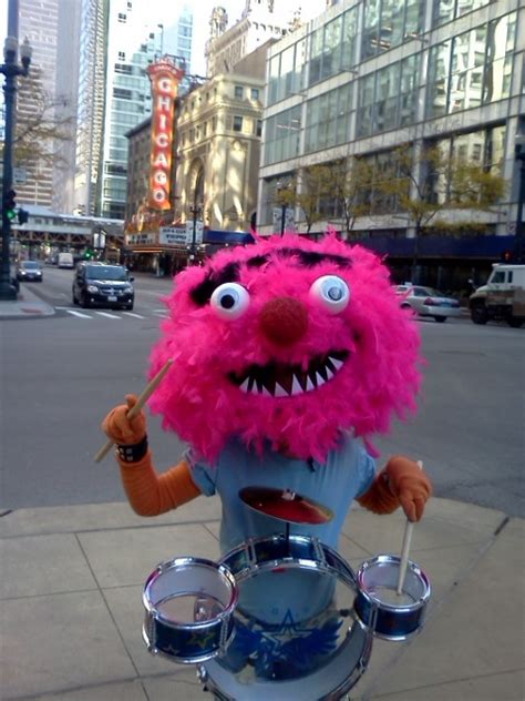 Animal Muppet Costume | Animal muppet, Muppets, Halloween costumes