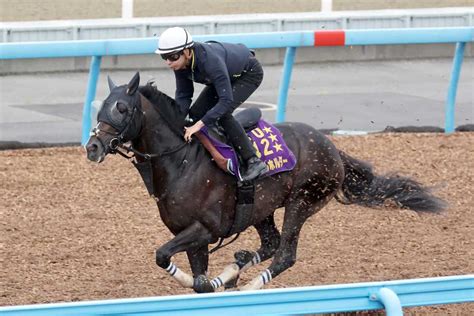 【オールカマー】タイトルホルダー態勢着々11秒5 栗田師「横山和生騎手は『もう少し後肢を使えれば』と」｜競馬ニュース｜競馬予想のウマニティ