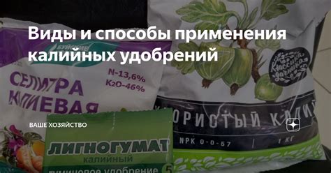 Виды и способы применения калийных удобрений | Ваше хозяйство | Дзен