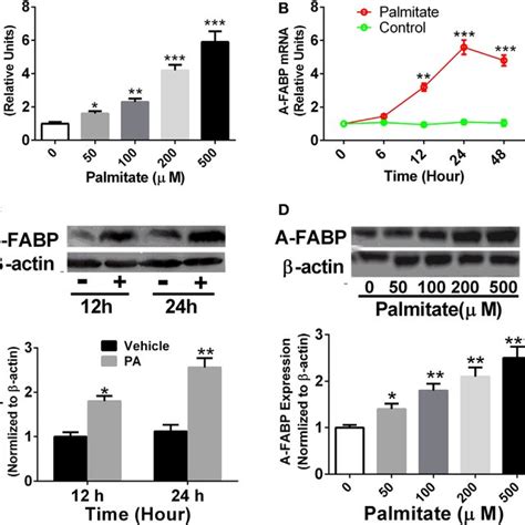 Adipocyte Fatty Acid Binding Protein A FABP Inhibition With