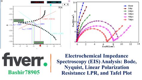 Faire Une Analyse Par Spectroscopie D Imp Dance Lectrochimique Bode