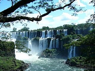 Ecotourism and Wildlife Safaris in Brazil | Brazil Nature Tours