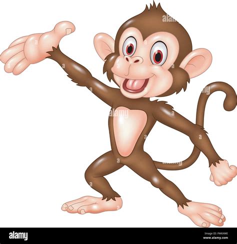 Cartoon funny monkey presenting isolated on white background Stock Vector Image & Art - Alamy