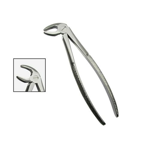 Lower Premolar Forcep Fig No Buy Dental Instruments Online Mds