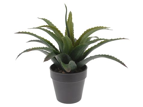 Sztuczna roślina w doniczce Aloes 28599 sklep BRW