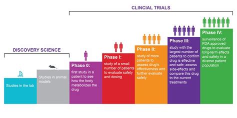 Clinical Research Phases And The Path To Drug Approval Imperial