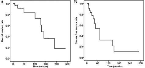 Kaplan Meier Curves For A Disease Free Survival Dfs And B Overall Download Scientific