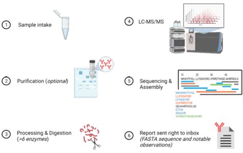 Antibody Sequencing Services Rapid Novor