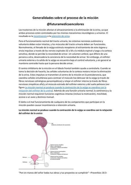 Generalidades Sobre El Proceso De La Micci N Y Desgaste Futuramedica