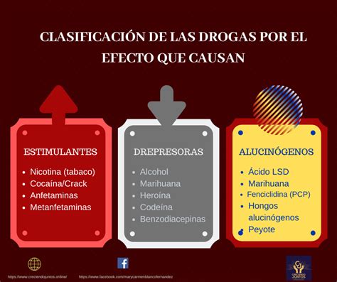 ClasificaciÓn De Las Drogas SegÚn Su Origen Efecto Y Normativa