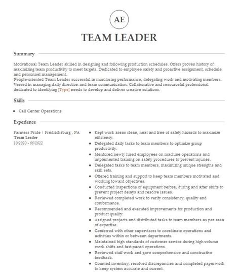 Team Leader Resume Example