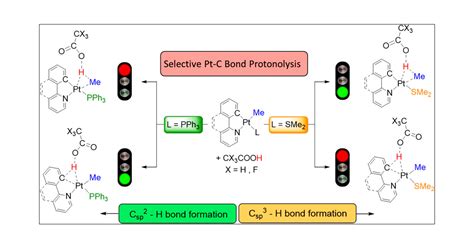 Ligand Controlled Csp2h Versus Csp3h Bond Formation In