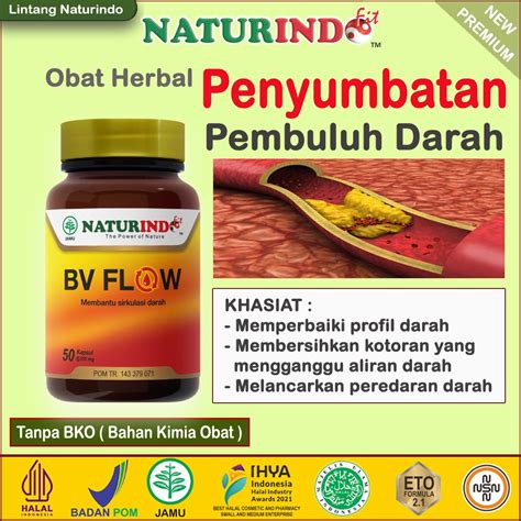 Jual Obat Herbal Penyumbatan Pembuluh Darah Melancarkan Peredaran Darah