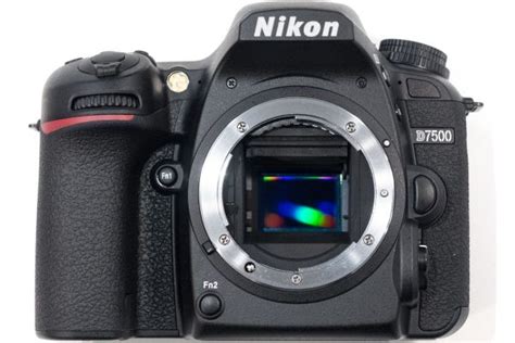 Nikon D7500 vs Nikon D500 - Amateur Photographer