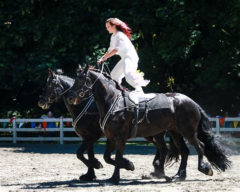 Friesian Events — Black Horse Farm