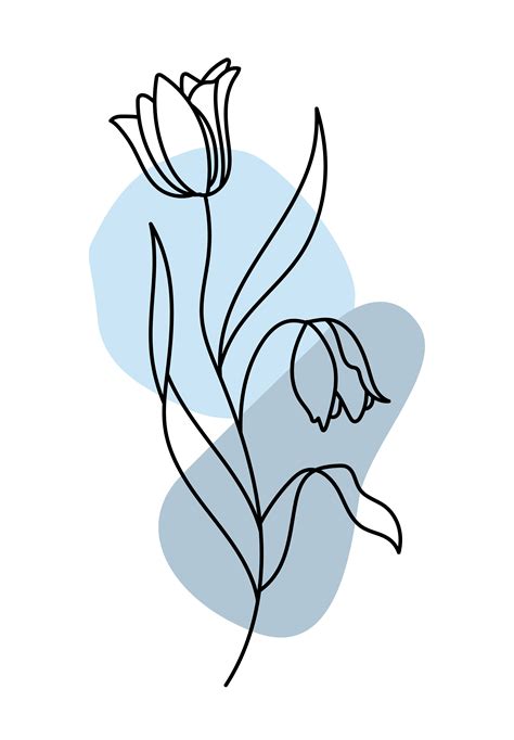 Minimalistic Tulip Illustration Poster By Artbynikav Line Art Flowers