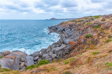 1,015 Granite Island Australia Photos - Free & Royalty-Free Stock ...