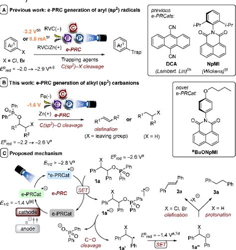 Figure From Electro Mediated Photoredox Catalysis For Selective C Sp