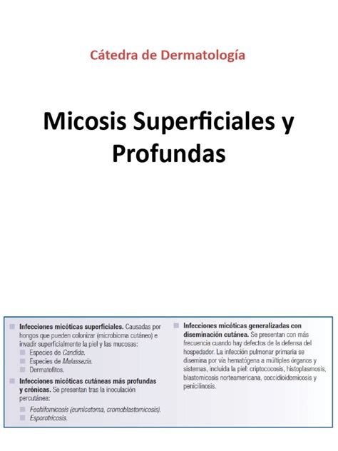 Micosis Superficiales Y Profundas Pdf Microbiología Causas De La Muerte