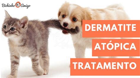 Dermatite Atópica em Cães e Gatos Principais Tratamentos Bichinho Amigo