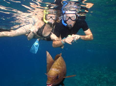 Exploring Molokini Snorkeling - The Best Car Rental 2024