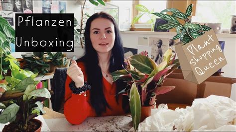 Pflanzen Unboxing Pflanzen Online Bestellen 2 Wochen Unterwegs