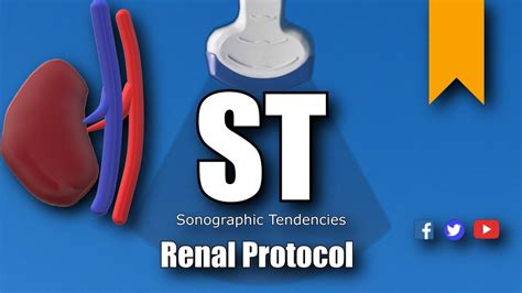 Renal Ultrasound Protocol - YouTube