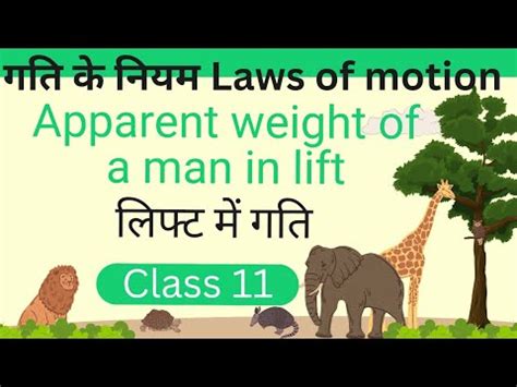 लफट म गत l Apparent weight of a man in lift l Law of Motion class