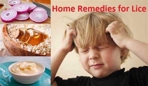 Home Remedies for Lice