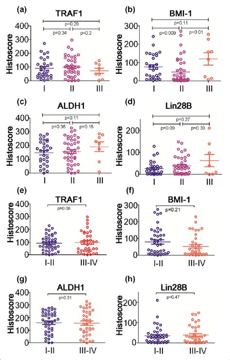 A B C And D The Top Row Showed Expression Levels For Traf Bmi