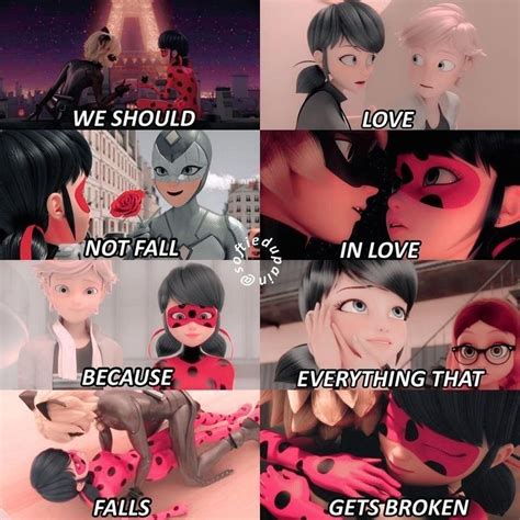 Funny Miraculous Ladybug Quotes