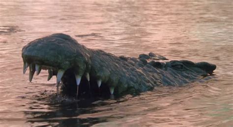 14 Crocodile Horror Movies Worth Chomping Into