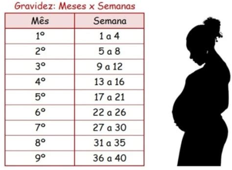 Quantos Meses É 10 Semana