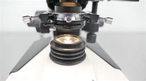 Fisher Scientific Micromaster II Microscope - The Lab World Group