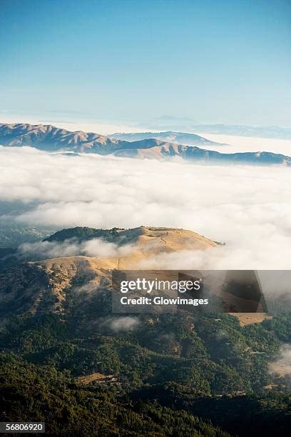 286 Mt Tamalpais State Park Stock Photos, High-Res Pictures, and Images ...