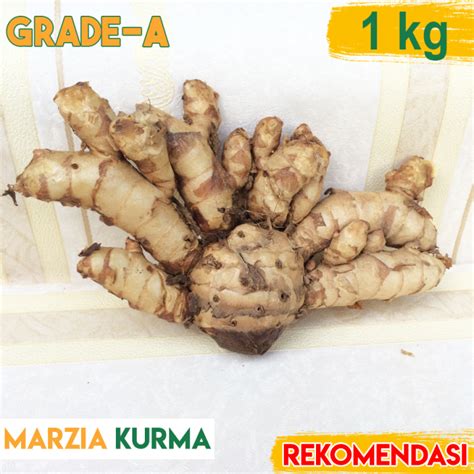 Temu Ireng Temu Hitam Curcuma Aeruginosa Harga Grosir Kg Lazada