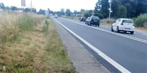 Cane Lanciato Da Unauto In Corsa Le Telecamere Potrebbero Aver