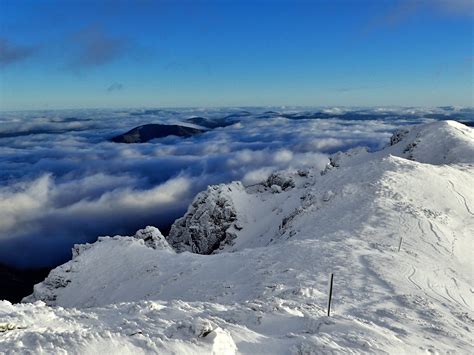 Mt Bogong Snowshoe Tour - Mount Beauty