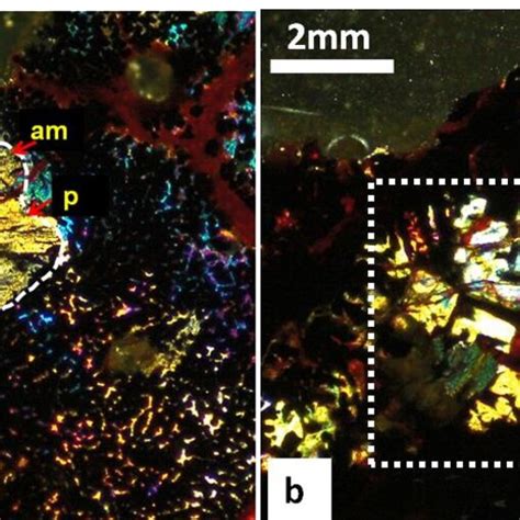 Photomicrographs Of Thin Section Under Transmitted Light And Between