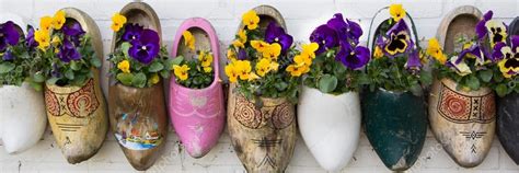 Dutch wooden clogs with flowers Stock Photo by ©photoweges 46020515