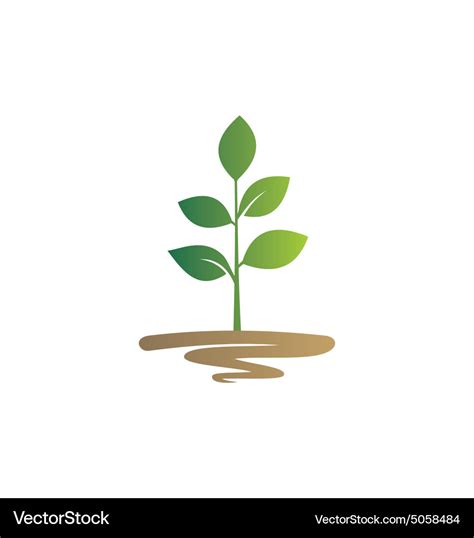 Plant Seed Green Botany Logo Royalty Free Vector Image