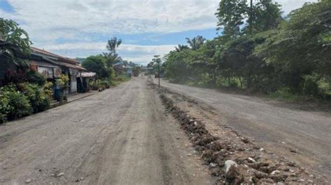 Harga TBS Sawit Di Bengkulu Selatan Dan Kaur Naik Lagi Menyentuh Rp 2