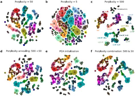 The Art Of Using T Sne For Single Cell Transcriptomics Biorxiv