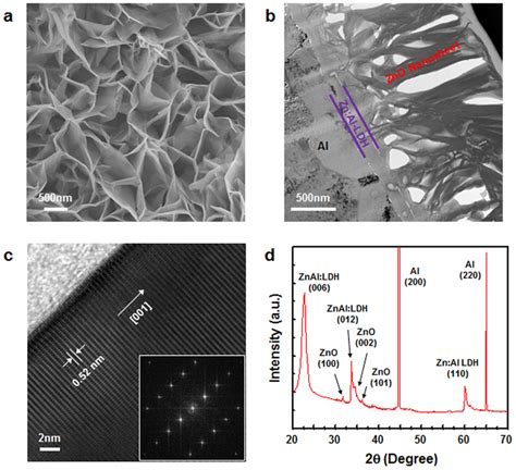 Characterization Of The Zno Nanosheets A Plan View Fe Sem Image Of