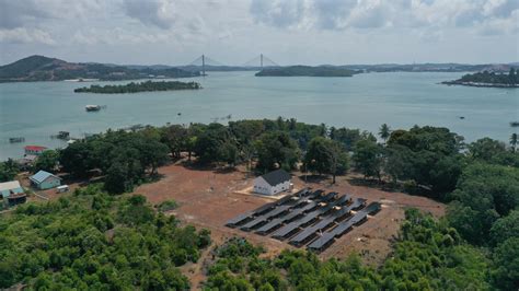 Wujudkan Transisi Energi PLN Hadirkan Listrik Hijau Di Enam Pulau