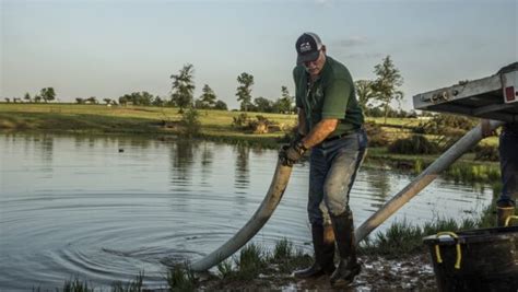 Guide To Building A Pond Lochow Ranch Pond Lake Management