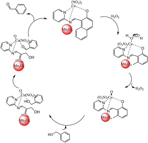 Proposed Mechanism For The Catalytic Oxidation Of Benzyl Alcohol By Mn