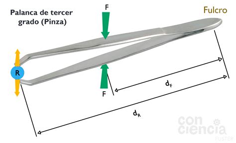 Palanca De Tercer Grado Pinza Tercer Grado Palancas Grado